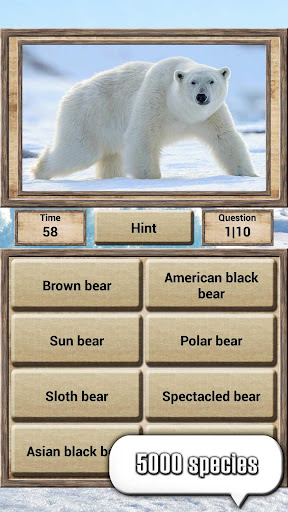Animal Kingdom - Quiz Game Animal Kingdom - Quiz Game